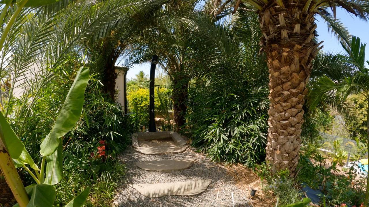 O Ruisseau Lodges - Lodge Dattier Saint-Louis Luaran gambar